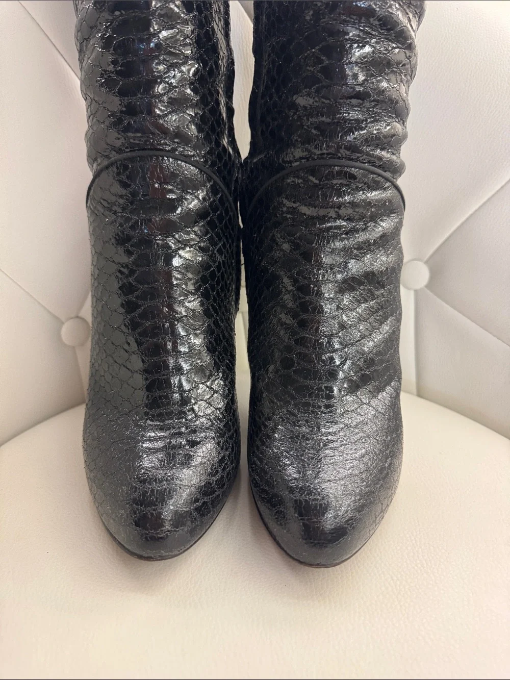 Giuseppe Zanotti bold over